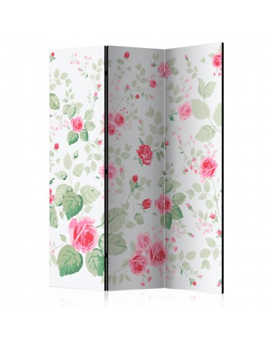 Paravent 3 volets panneaux cloison séparateur de pièce pliable recto verso Rosy pleasures 135x172 cm PAR110760 votre