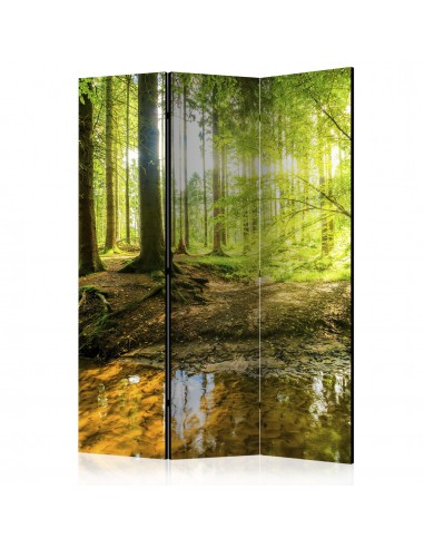 Paravent 3 volets panneaux cloison séparateur de pièce pliable recto verso Forest Lake 135x172 cm PAR110361 d'Europe débarque