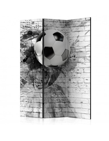 Paravent 3 volets panneaux cloison séparateur de pièce pliable recto verso Football dynamique 135x172 cm PAR110302 est présent 