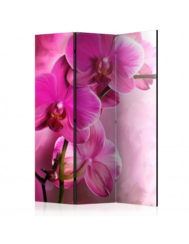 Paravent 3 volets panneaux cloison séparateur de pièce pliable recto verso Orchidée rose 135x172 cm PAR110671 store