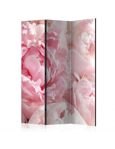 Paravent 3 volets panneaux cloison séparateur de pièce pliable recto verso Sweet Peonies 135x172 cm PAR110877 En savoir plus