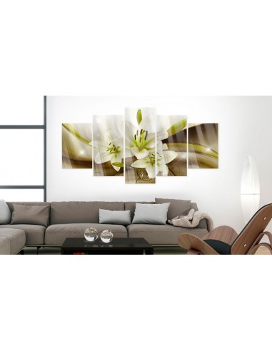 Tableaux en verre acrylique décoration murale motif Lily moderne en 5 panneaux 200x100 cm TVA110085 d'Europe débarque