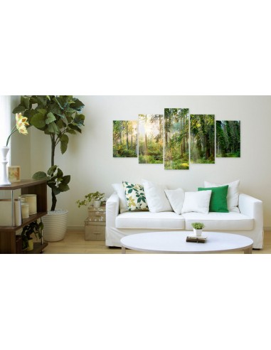 Tableaux en verre acrylique décoration murale motif Sanctuaire vert 100x50 cm TVA110128 pas cher 