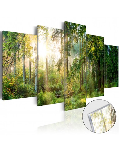 Tableaux en verre acrylique décoration murale motif Sanctuaire vert 200x100 cm TVA110129 offre 