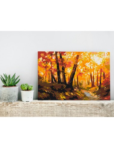 Tableau à peindre soi-même peinture par numéros motif Chemin forestier 60x40 cm TPN110080 Venez acheter